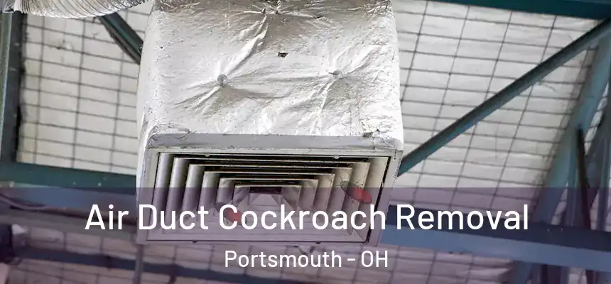  Air Duct Cockroach Removal Portsmouth - OH