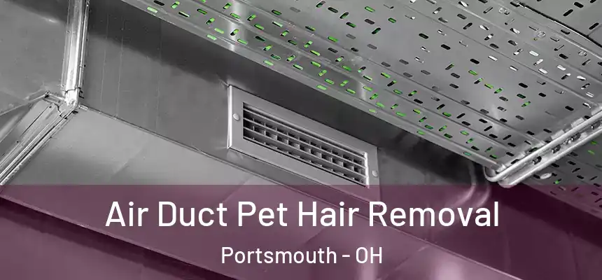  Air Duct Pet Hair Removal Portsmouth - OH