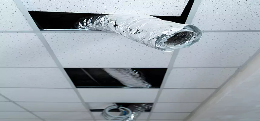 Our Air Duct Pet Hair Removal Services in Portsmouth, OH