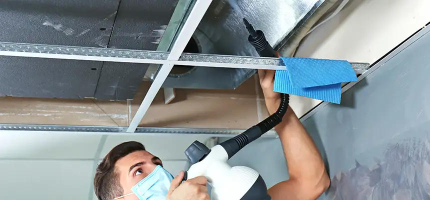 Our Air Duct Rodent Removal Services in Portsmouth, OH