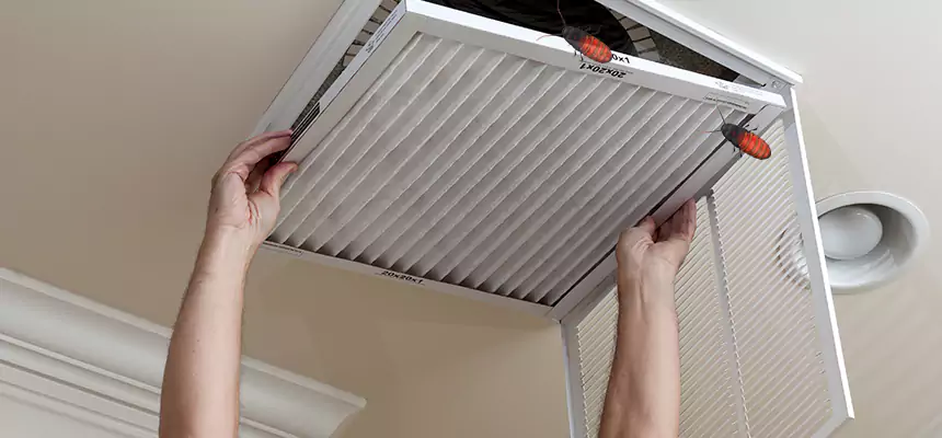 Our Insect Removal from Air Ducts Services in Portsmouth, OH