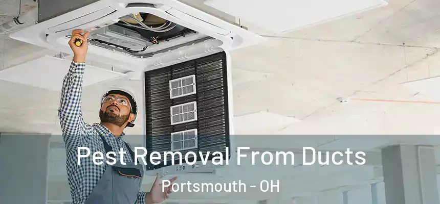  Pest Removal From Ducts Portsmouth - OH