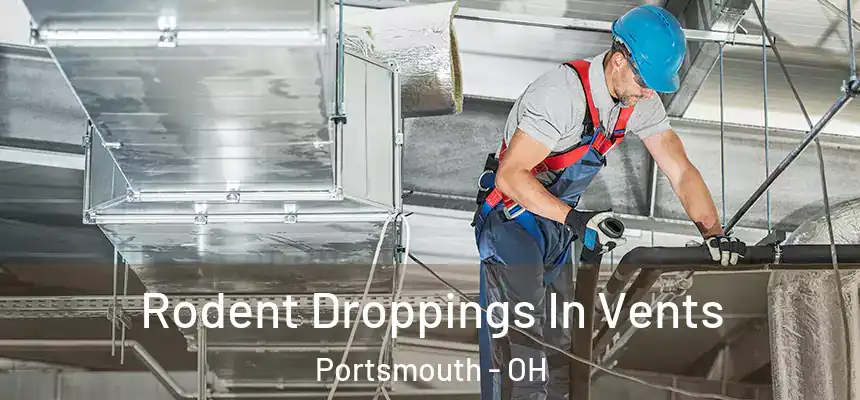  Rodent Droppings In Vents Portsmouth - OH