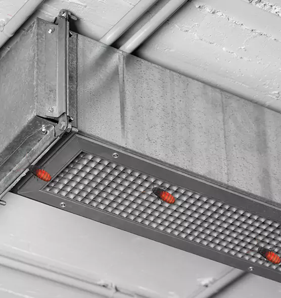 About Air Duct Cockroach Removal in Portsmouth, OH