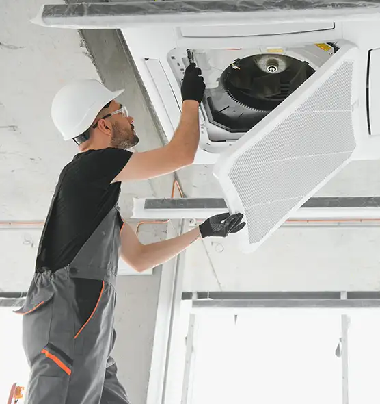 About Air Duct Rodent Removal in Portsmouth, OH